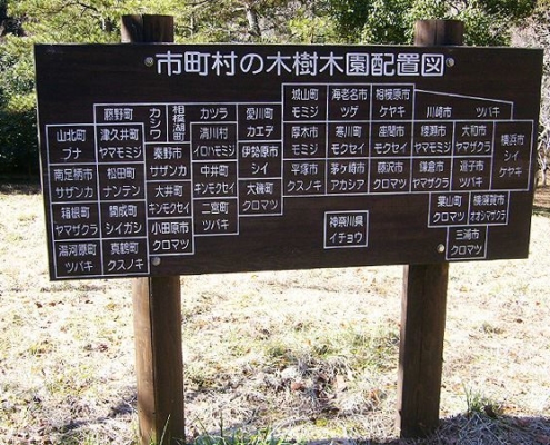 市町村の木樹木園