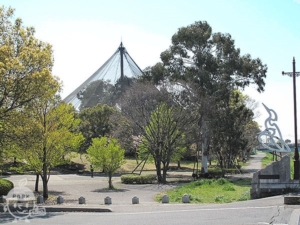 キャンベルタウン野鳥の森・大吉公園
