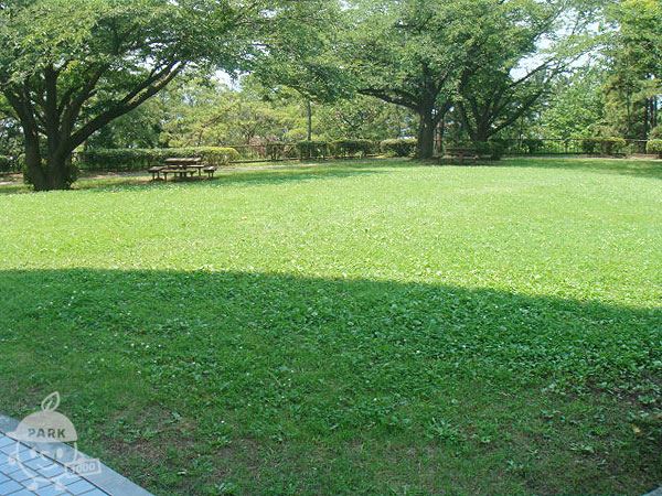 芝生広場