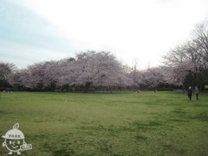 大庭城址公園