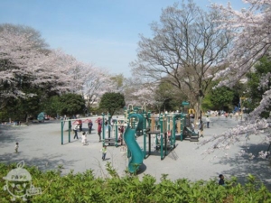 新林公園