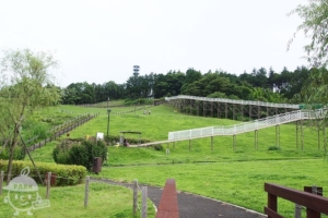 おだわら諏訪の原公園