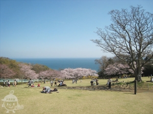 吾妻山公園