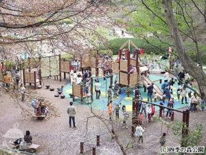 四季の森公園