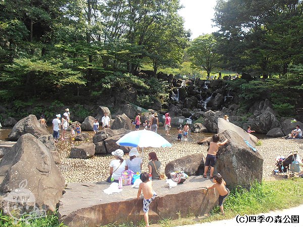 水遊びで楽しもう 神奈川県 1000円もって公園へ行こう