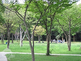 沢渡中央公園
