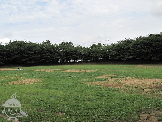 山崎公園・くさぶえの道