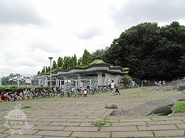 山崎公園プール