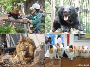 野毛山動物園
