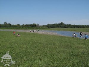 水元公園