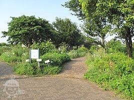 都市緑化植物園
