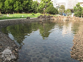 徒渉池（ジャブジャブ池）