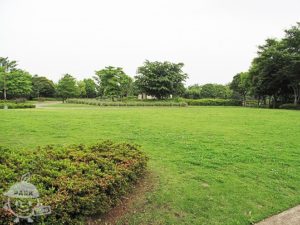 きたみふれあい広場