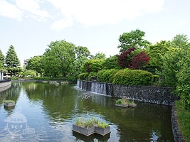 武蔵の池