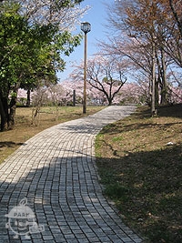 奈良原公園駐車場から園内に向かう道
