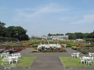 調布市 1000円もって公園へ行こう