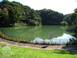 築池（つくいけ）