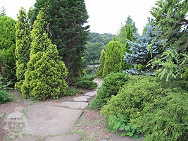 花とコニファー園