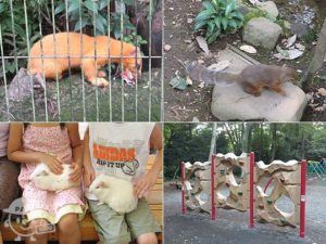 井の頭自然文化園