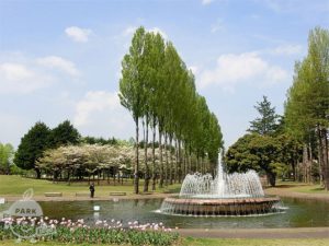 彩の森入間公園