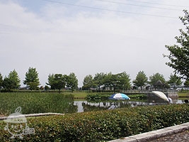 修景池