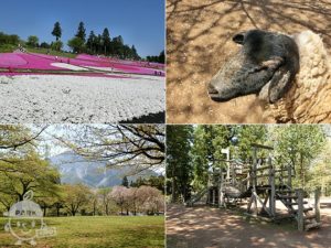 羊山公園