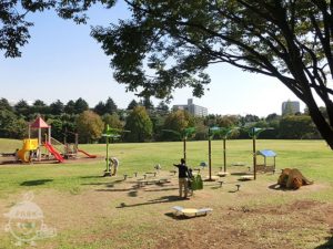 和光樹林公園