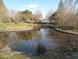 ひょうたん池