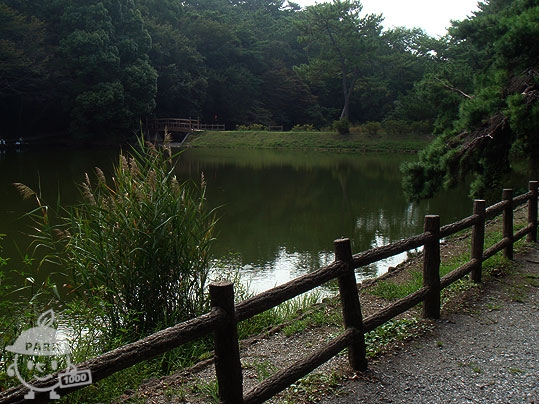 四ツ池公園 Yotsuike Park 1000円もって公園へ行こう