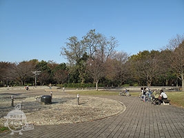 水の広場