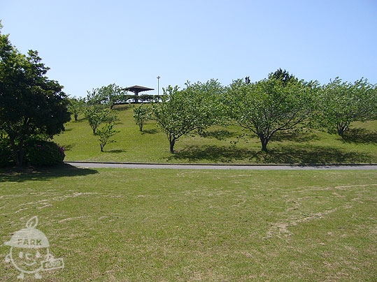 市民ふれあい公園 Futtsu Shiminfureai Park 1000円もって公園へ行こう