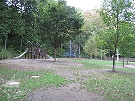 芝生公園