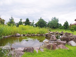 修景池
