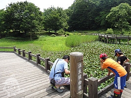 湿生植物園