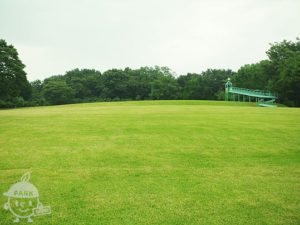 山上城跡公園