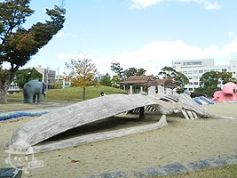 シロナガスクジラの骨