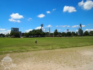 茎崎運動公園