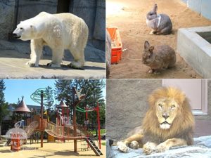 札幌市円山動物園