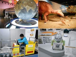 新潟県立自然科学館