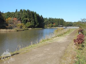 柏崎・夢の森公園