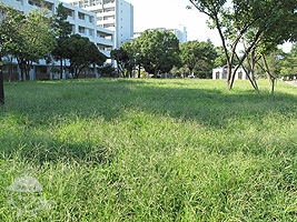 子供の遊び散策ゾーンⅡ 芝生の広場