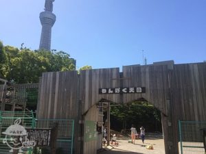 わんぱく天国