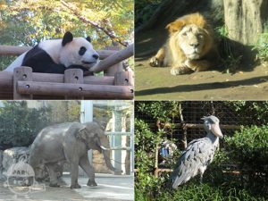 上野動物園