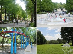 光が丘公園