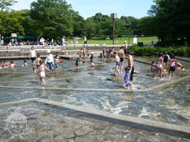 水遊びの池