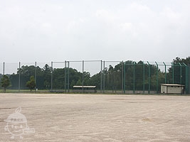 野球場