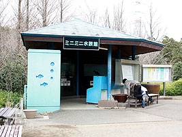 ミニミニ水族館