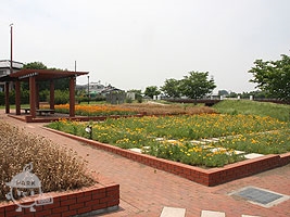 花の広場