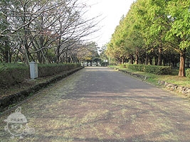 園内の道
