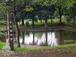 水生植物園